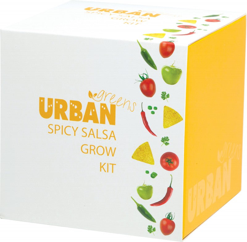 URBAN GREENS Grow Kit  Spicy Salsa - 10x10cm 1
