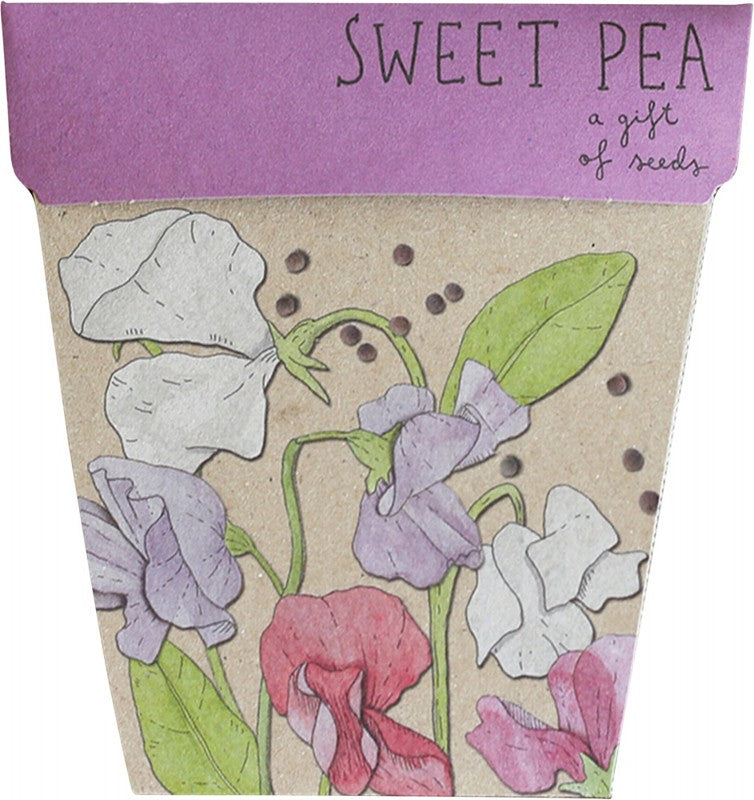SOW 'N SOW Gift Of Seeds  Sweet Pea 1