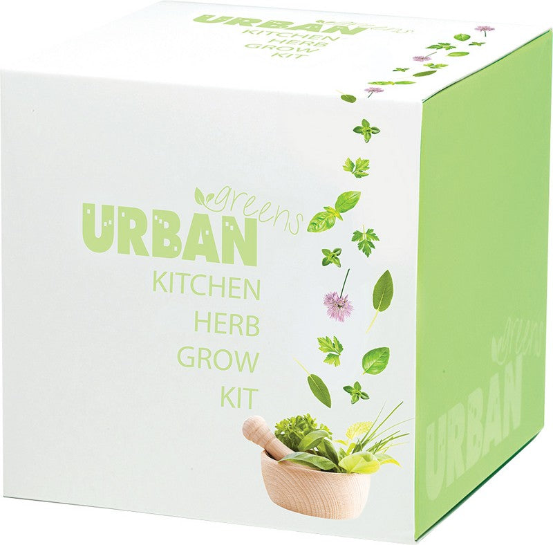 URBAN GREENS Grow Kit  Kitchen Herbs - 10x10cm 1