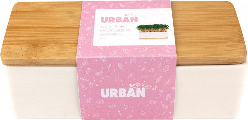 URBAN GREENS Mini Garden Sprouts Kit  Pink Kale - 20x8x7cm 1