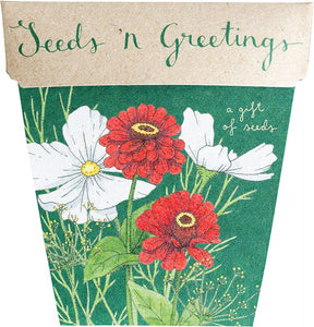 SOW 'N SOW Gift Of Seeds  Seeds 'n Greetings 1