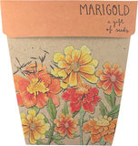 SOW 'N SOW Gift Of Seeds  Marigolds 1