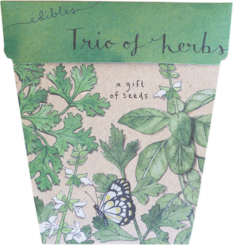 SOW 'N SOW Gift Of Seeds  Trio Of Herbs 1