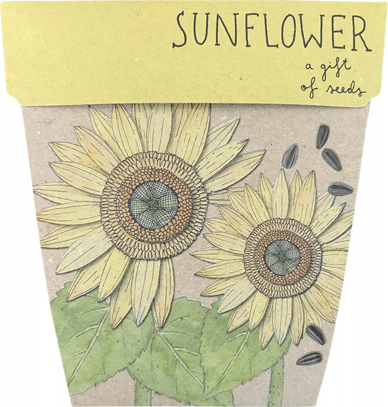 SOW 'N SOW Gift Of Seeds  Sunflower 1