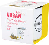URBAN GREENS Grow Your Own Tea Kit  Chamomile 1