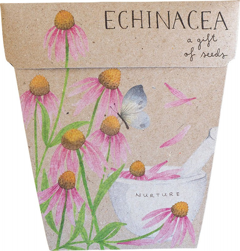 SOW 'N SOW Gift Of Seeds  Echinacea 1