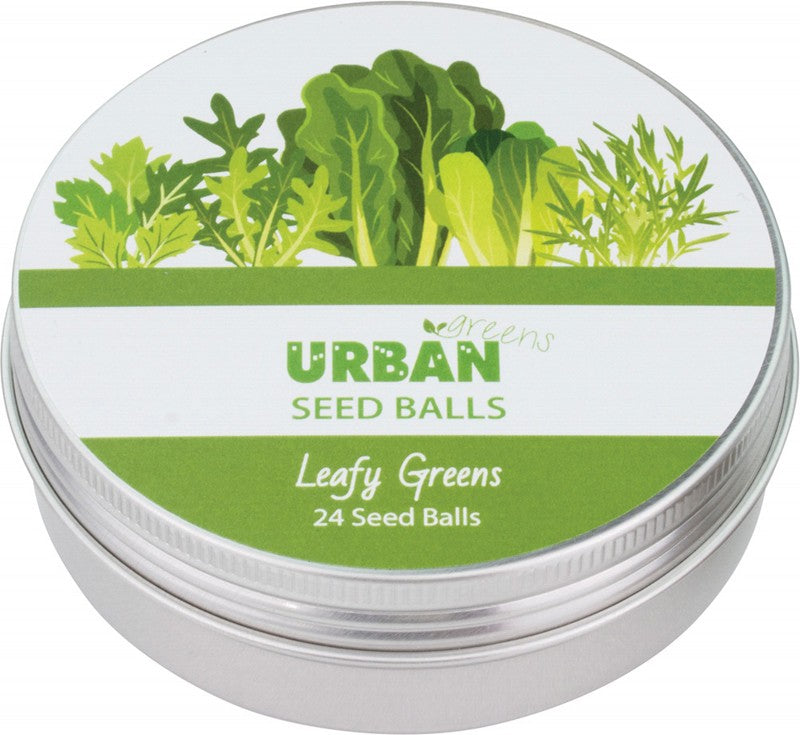 URBAN GREENS Seed Balls (For Planting)  Leafy Greens (24 Per Tin) 1