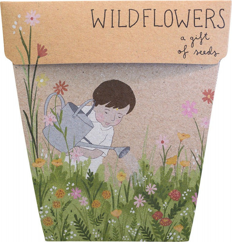 SOW 'N SOW Gift Of Seeds  Wildflowers 1