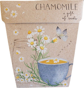 SOW 'N SOW Gift Of Seeds  Chamomile 1