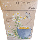 SOW 'N SOW Gift Of Seeds  Chamomile 1